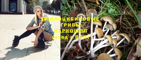 бутират Аркадак