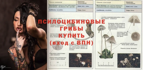 твердый Армянск